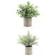thumbnail image 4 of 2x Plantas Suculentas Falsas Artificiales Mini Romero En Maceta + Desmodium, 4 of 4