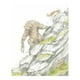 thumbnail image 2 of Martín y el rey del Bosque blanco, 2 of 3