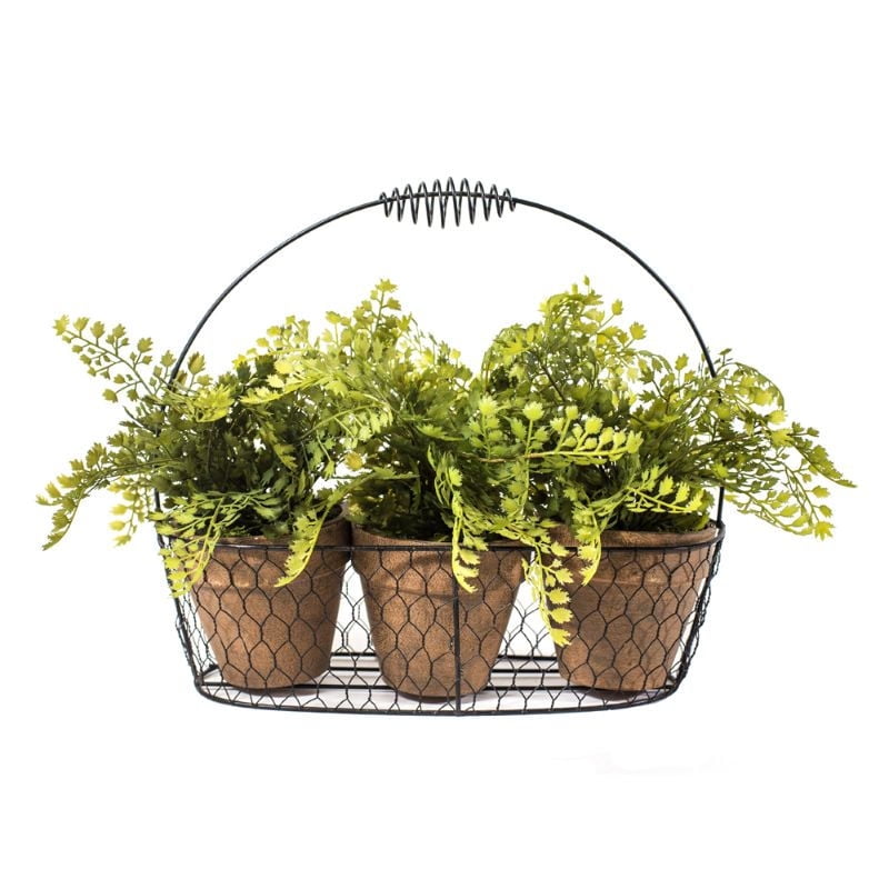 The Garden - Plantas Decorativas 3 Canasto Metalico