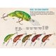 thumbnail image 2 of Señuelo de pesca Rebel Nest Robber, cangrejos de 2,5 a 3 m de profundidad, 2 of 2