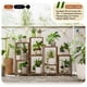 thumbnail image 4 of Juego de 4 soportes para plantas Bamworld, madera alta mejorada, para interiores y exteriores, 4 of 7