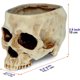 thumbnail image 2 of READAEER Skull Planter with Drain Hole, Resin Skull Shaped Flower Pot, 2 of 3