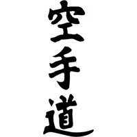 Rienda Libre Graphics - Decomural Kanji Karate Chinese Symbol Ws-18757