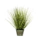 thumbnail image 1 of Planta Artificial Grass Redondo Zebra 76 Cm, 1 of 2