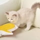thumbnail image 2 of Guante Cepillo Para Peinar A Tu Mascota (quita Pelos) Amarillo, 2 of 2