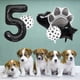 thumbnail image 4 of Set de globos con estampado de patas de mascota en blanco y negro, 4 of 4