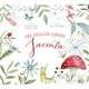 thumbnail image 1 of Libro Una Oruguita Llamada Jacinta, 1 of 2