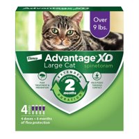 Gato Grande De Más De 4 Kg Advantage Xd Para Prevención Y Tratamiento De Pulgas