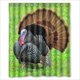 thumbnail image 1 of Cortina de ducha de pavo salvaje, juego de cortina de baño con ganchos, tamaño 60 x 72 pulgadas, 1 of 3