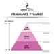 thumbnail image 5 of Perfume Dorall Collection Islanders Eau de Toilette para hombre, 100 ml, 5 of 5