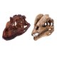 thumbnail image 5 of 2 Piezas De Resina De Dinosaurio Modelo De Cráneo Dilophosaurus Y Ceratosaurus Coleccionables, 5 of 5