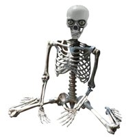 Magideal - Esqueleto De Halloween Articulaciones Posibles De Cuerpo Completo Decoración De Esqueleto Decoraciones De Cementerio Modelo De Esqueleto Esqueletos De 70Cm