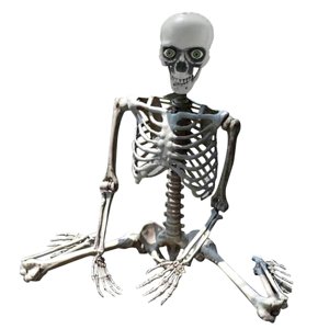 Magideal - Esqueleto De Halloween Articulaciones Posibles De Cuerpo Completo Decoración De Esqueleto Decoraciones De Cementerio Modelo De Esqueleto Esqueletos De 70Cm