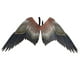 thumbnail image 1 of Disfraz De Ala De ángel Fiesta Temática Carnaval Vestir Unisex Talla única Ala De águila, 1 of 3