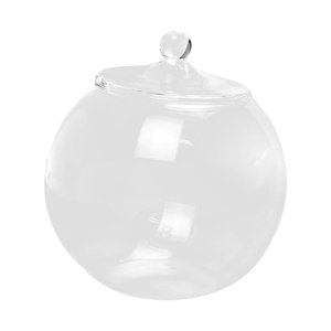 Magideal - Jarra Para Macetas De Terrario De Vidrio, Bricolaje De Escritorio Con Tapa, Contenedor De Plantas De Vidrio, Botella De Paisaje Micro Para Pimienta De