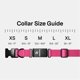 thumbnail image 2 of Collar Rastreador para Perros Fi Serie 3+ GPS Impermeable Rosa Grande, 2 of 5