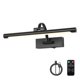 thumbnail image 1 of Luz para Cuadro DESOOP 16" Recargable con Control Remoto Regulable Negro, 1 of 7