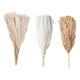 thumbnail image 1 of Ramo pampas secas naturales 90 uds 44 cm, 1 of 3