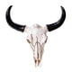 thumbnail image 3 of Escultura De Pared Con Forma De Calavera De Vaca Y Cuerno De Animal Para Sala De Estar, 3 of 5