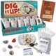 thumbnail image 1 of Kit de excavación MindWare fósiles y minerales 12 piedras, 1 of 3