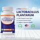 thumbnail image 2 of Suplemento Vitamático Lactobacillus Plantarum 20b 60 Cápsulas, 2 of 3