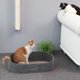 thumbnail image 5 of Cat Scratcher FUKUMARU con forma de sofá, 60 cm, con almohadilla para rascar, 5 of 9