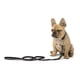 thumbnail image 2 of Correa Fuzzyard para perros YEZZY 1,4 mt, 2 of 2