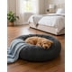 thumbnail image 1 of Cama para Mascotas Resistente Calidad Y Máximo Confort 60 cm, 1 of 6