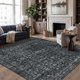 thumbnail image 1 of Alfombra Rugxara Black 183 × 274 cm Lavable para Sala de Estar, 1 of 8