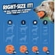 thumbnail image 2 of Juguete para perros Chuckit! Pelota Air Fetch pequeña para perros de 0 a 9 kg (2 cm), 2 of 7