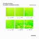 thumbnail image 3 of Purpurina de Resina Hemway 100 g Verde Fluorescente Fina, 3 of 7