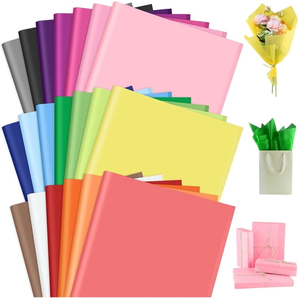 Papel de Seda PLULON 50 x 35 cm 60 hojas 20 colores