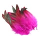 thumbnail image 5 of 50 Plumas Para Manualidades, Decoración Para Bodas, Joyería, Color Rojo Rosa, 5 of 5