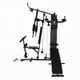 thumbnail image 2 of Máquina Home Gym Multifuncional P700 Pro 65 kg, 2 of 10