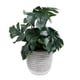 thumbnail image 1 of Planta Artificial Monstera 14 Hojas En Macetero De Cemento 40 Cm, 1 of 2