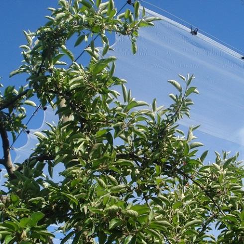 Garden Market - Malla Antigranizo 7X100M