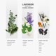 thumbnail image 3 of Aceite difusor de fragancia AROMAPLAN Hotel Scents Lavender 148 ml, 3 of 7