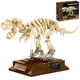 thumbnail image 1 of Set de bloques de construcción Fósil de Tyrannosaurus rex Myth Qholve, 1 of 7