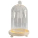 thumbnail image 4 of Campana De Cristal Cúpula Flores Eternas Cúpulas De Cristal Vitrina Cúpula Transparente Bola De Campana, 4 of 5
