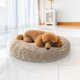 thumbnail image 1 of Cama para perros Muddy Mat Cloud K-9 Soft Chenille Beige Medium, 1 of 5