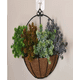 thumbnail image 3 of Macetero Fibra de Coco Colgante para Pared Decoración Flores, 3 of 3