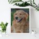 thumbnail image 4 of Golden Retriever Kits de Pintura de Diamantes para Adultos 5D DIY Diamond Art Kits Full Drill Diamond Dots para Regalo Decoración de Pared y Relajación Artes de Gemas 30*40cm, 4 of 6