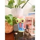 thumbnail image 3 of Peluche Youtooz Gary el Caracol 15 cm Magnético y Suave, 3 of 7