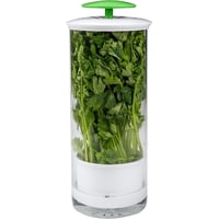 Xusx111 - Herb Keeper Y Herb Saver – Contenedor De Almacenamiento De Vidrio Para Cilantro, Menta, Perejil, Espárragos, Mantiene Los Verdes Frescos Durante 2-3 Semanas (Verde)