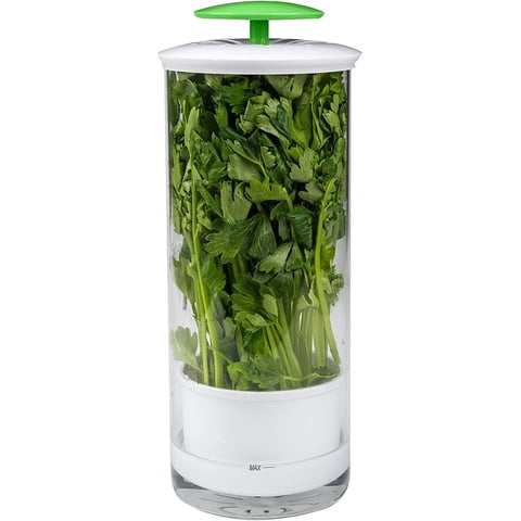 Xusx111 - Herb Keeper Y Herb Saver – Contenedor De Almacenamiento De Vidrio Para Cilantro, Menta, Perejil, Espárragos, Mantiene Los Verdes Frescos Durante 2-3 Semanas (Verde)