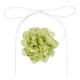 thumbnail image 1 of Collares de Flores Uxcell para Mujeres, Collares de Flores de Terciopelo Grandes Ajustables, Accesorios de Collares Florales para Mujeres para Boda, Fiesta de Graduación, Verde, 1 of 6