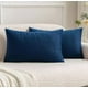 thumbnail image 2 of Pack de 2 Fundas Terciopelo Liso 30x50 cm Azul, 2 of 3