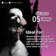 thumbnail image 3 of Shampoo morado blanqueador para perros y gatos OPAWZ 500 ml, 3 of 7