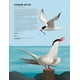 thumbnail image 3 of Enciclopedia de las aves, 3 of 4