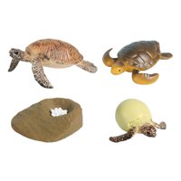 Bothyi - Juguetes De Tortuga De Ciclo De Vida, Ciencia Cognitiva Realista Para Niños Y Niñas, Tortuga Marina Educativa